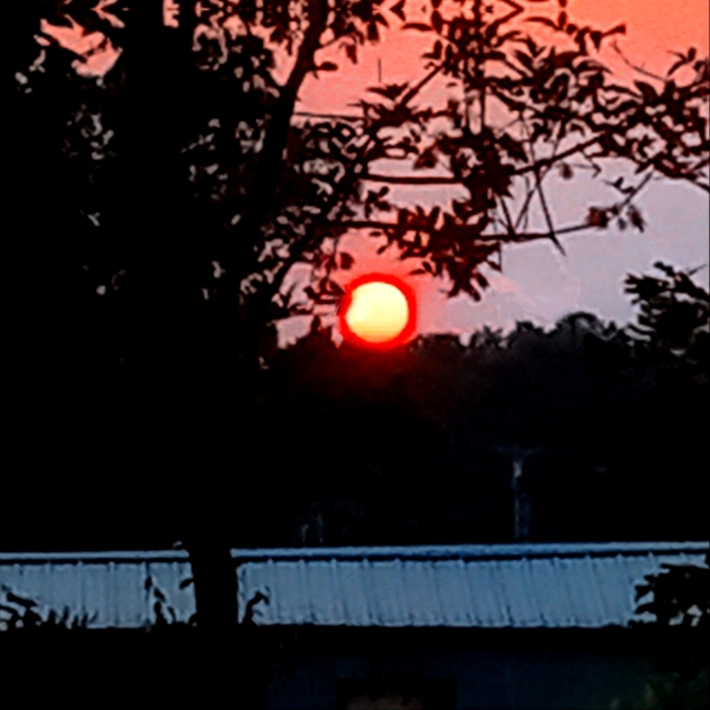 Meet your Posher, Lady Jessica Powell Somerset